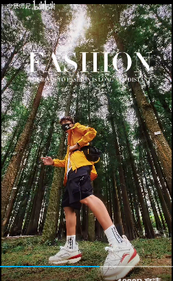 小树林 - 图1