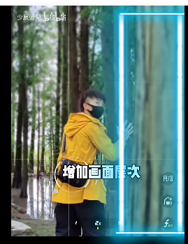 小树林 - 图6