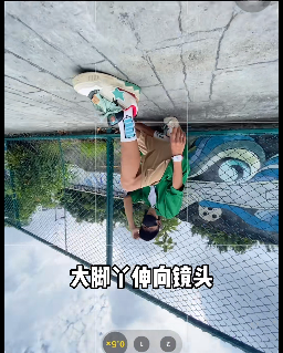 网墙 - 图2