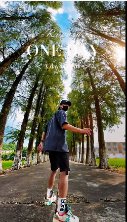 小树林 - 图8