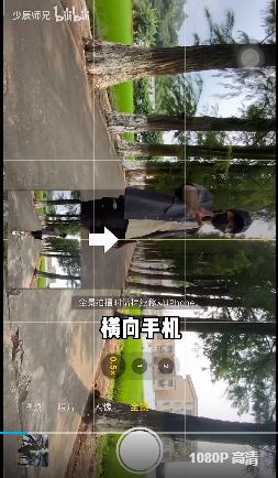 小树林 - 图9