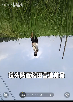 稻田 - 图2