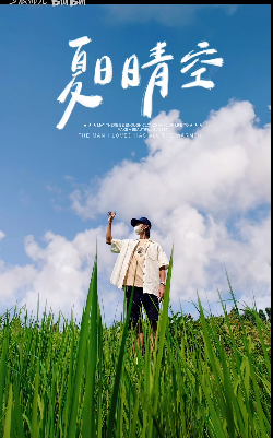 稻田 - 图1