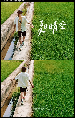 稻田 - 图3