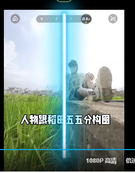 稻田 - 图6