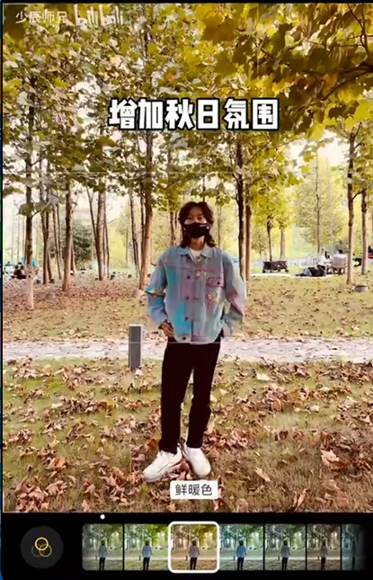 小树林 - 图14