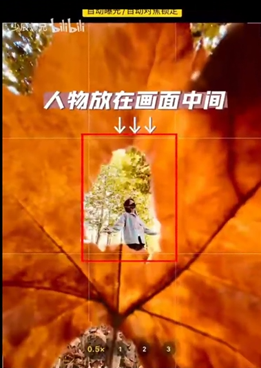 小树林 - 图16