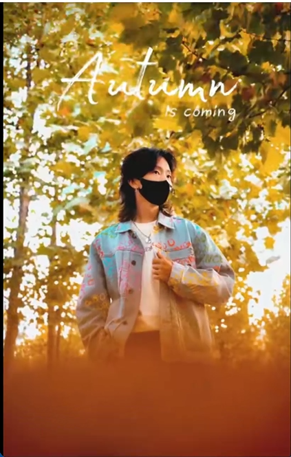 小树林 - 图17