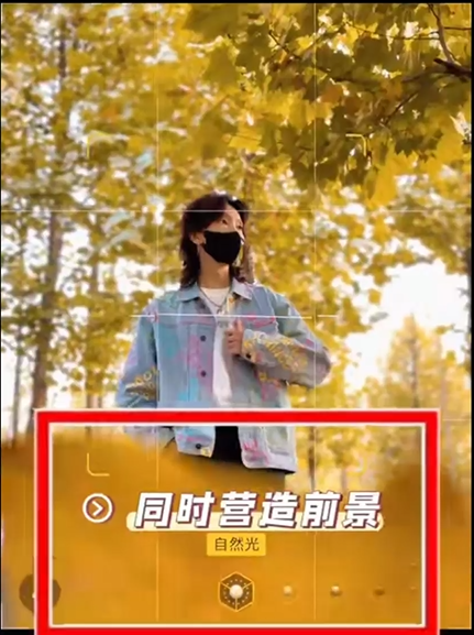 小树林 - 图18