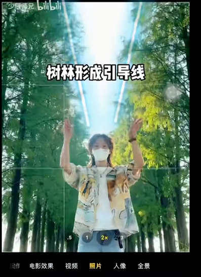 小树林 - 图22