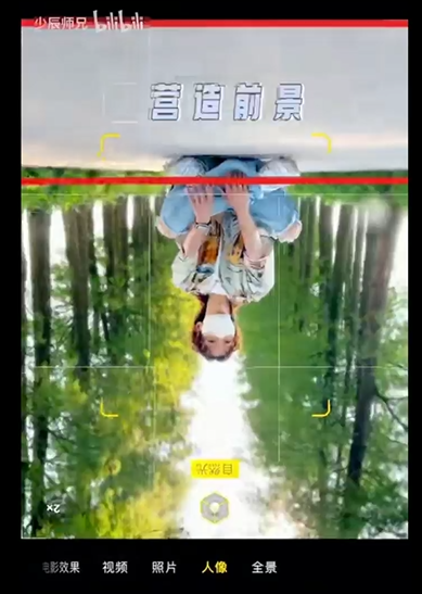 小树林 - 图24