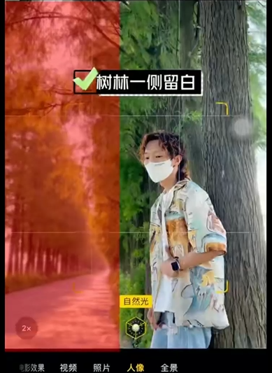 小树林 - 图26