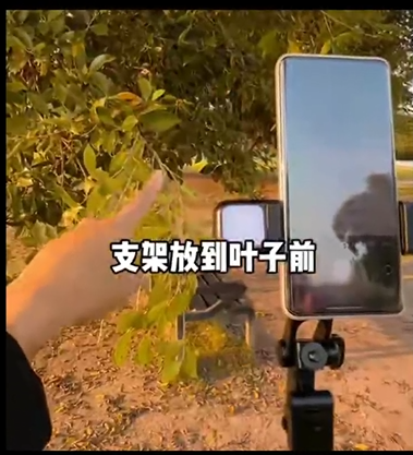 公园系列 - 图15