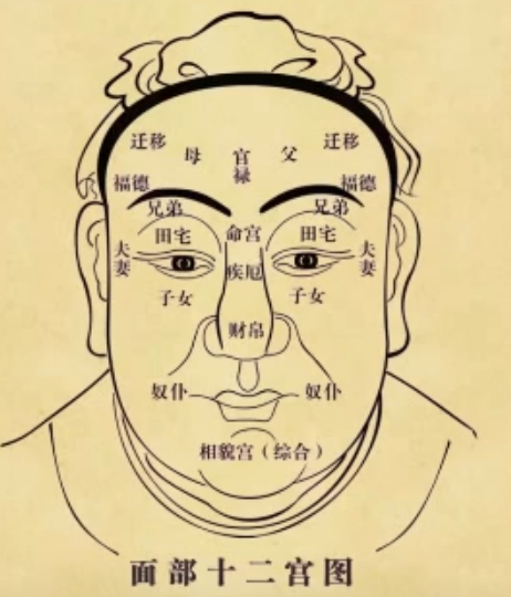 面部十二宫 - 图1