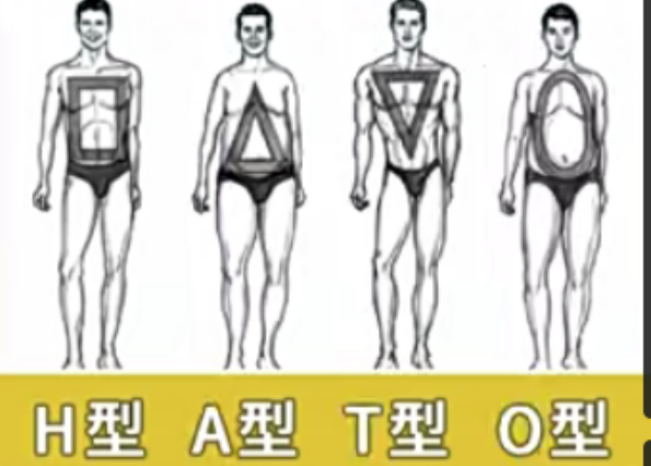 男人体系概述 - 图1