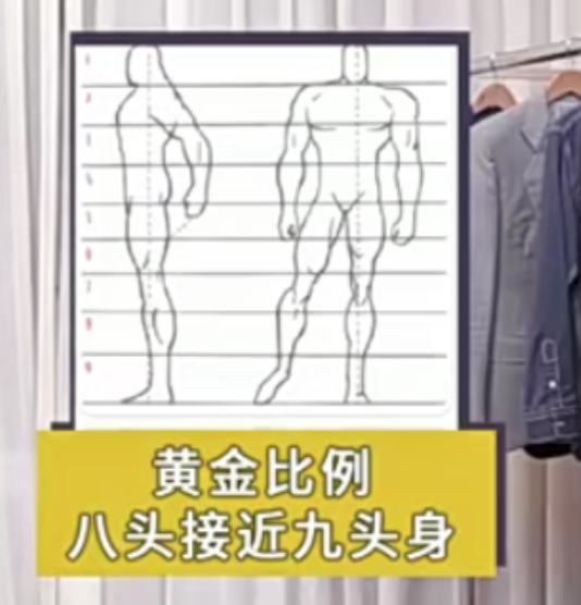 男人体系概述 - 图2